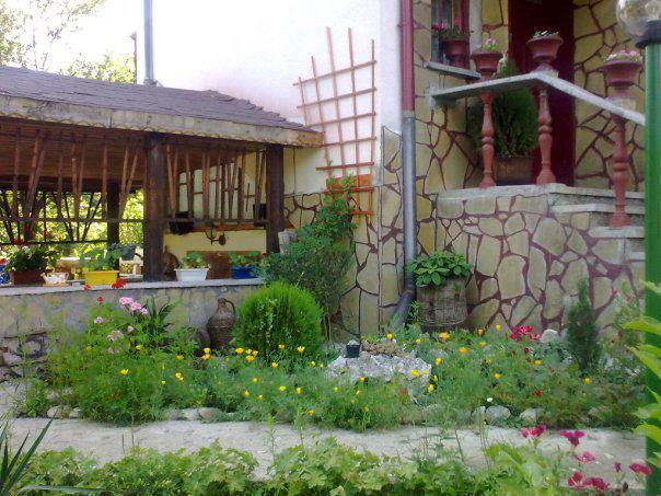 Veselata Guest House Dolna Banya Ngoại thất bức ảnh