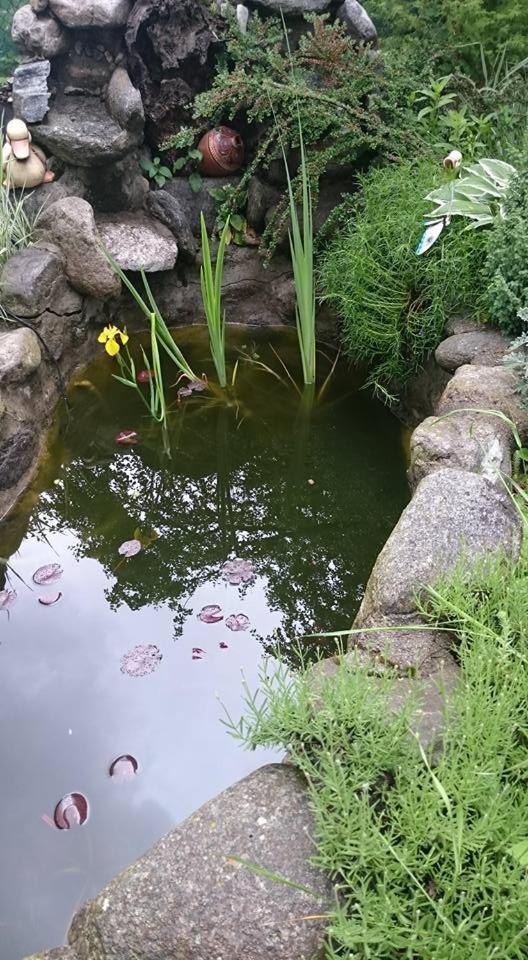 Veselata Guest House Dolna Banya Ngoại thất bức ảnh