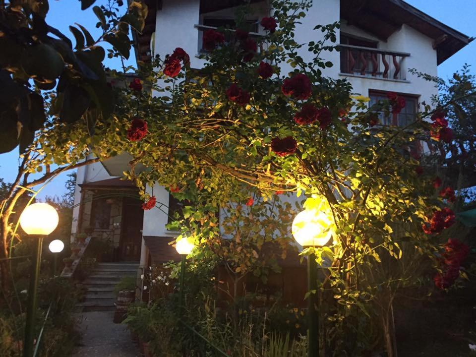 Veselata Guest House Dolna Banya Ngoại thất bức ảnh